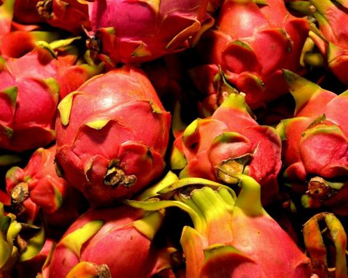 beneficios de la pitahaya o fruta del dragón y las variedades
