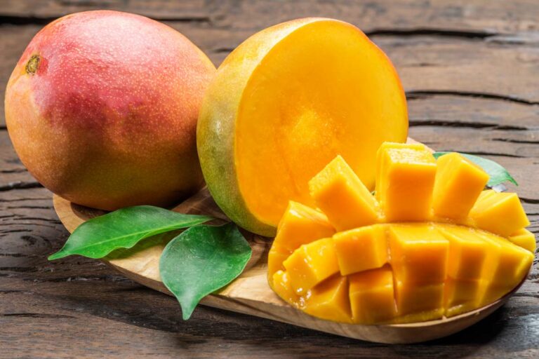 Conservar el mango